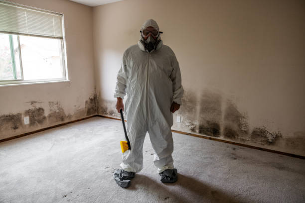 Best Residential Mold Removal  in Elton, LA
