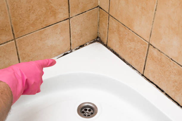 Best Professional Mold Removal  in Elton, LA